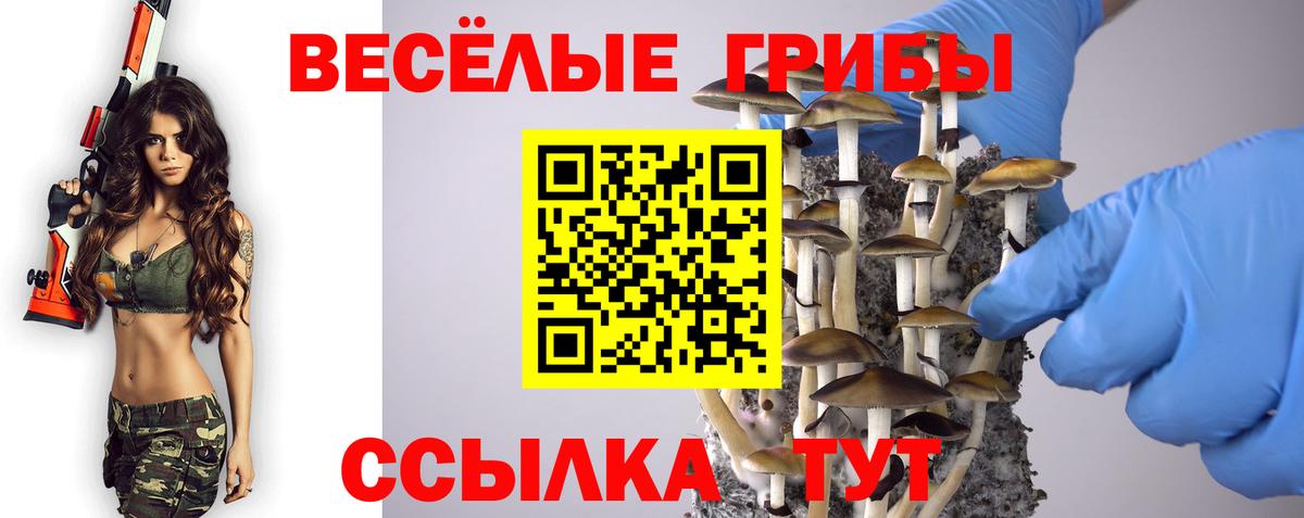 Галлюциногенные грибы Magic Shrooms Белово